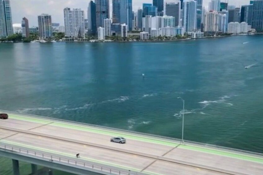 Best of Miami All in One Tour! Must Do VIP Sightseeing City Tour! 5