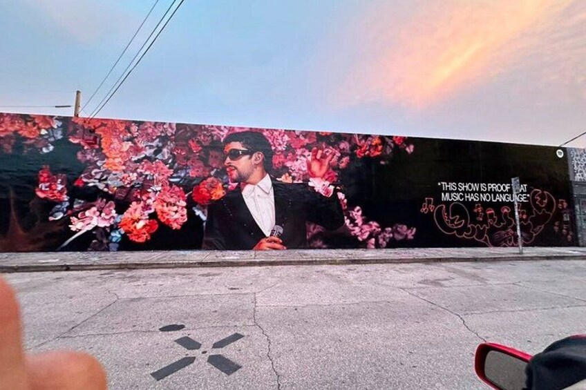 See it All in One Tour!! 6hr VIP Full Experience of Miami!! 2