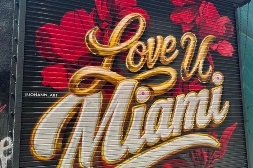 See it All in One Tour!! 6hr VIP Full Experience of Miami!! 1