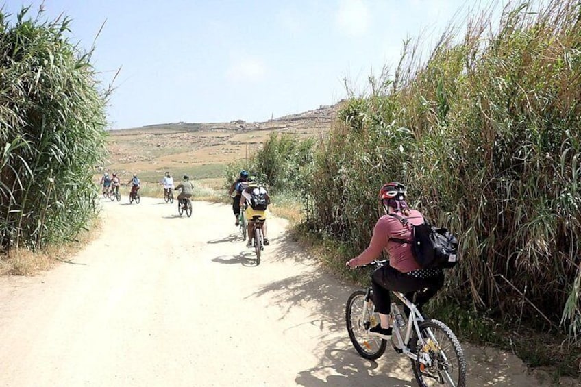Authentic Mykonos bike tour 5