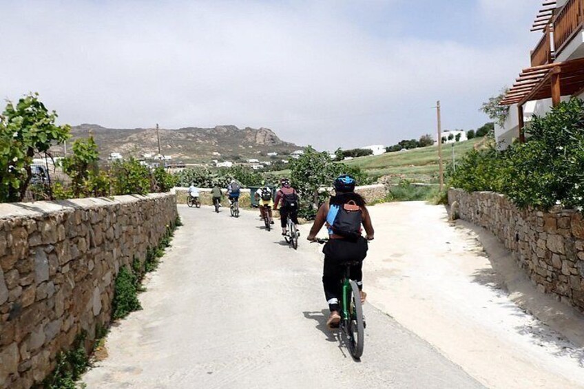 Authentic Mykonos bike tour 4