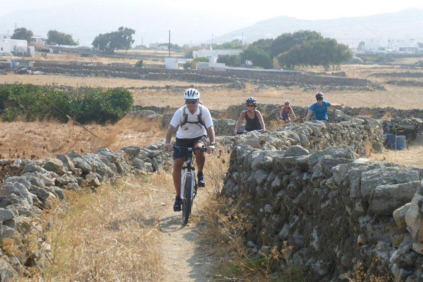 Authentic Mykonos bike tour 3