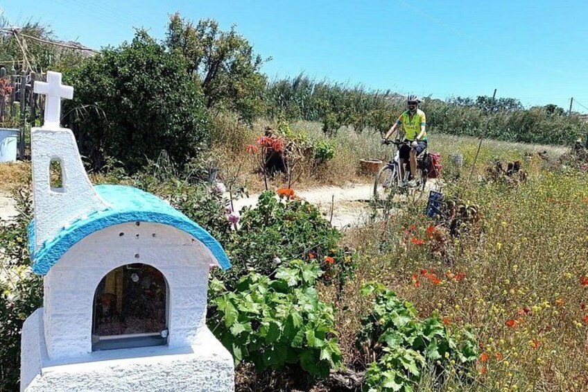 Authentic Mykonos bike tour 2