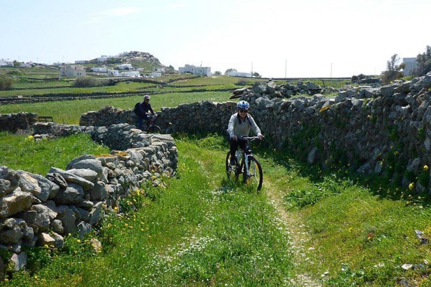 Easy off road cycling among unspoiled landscapes of rural Mykonos 1