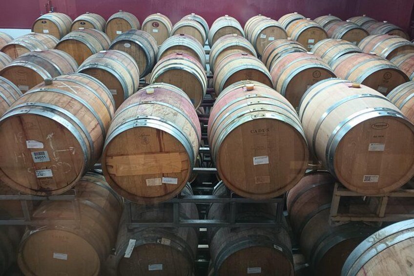 Wooden barrels stacked in rows. 2