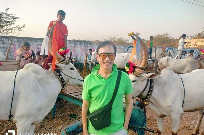 A person standing in front of decorated cows with people in the background. 5