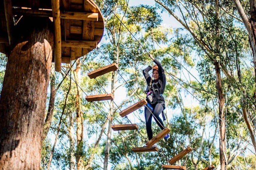 A person on a rope course with wooden platforms and trees in the background. 4