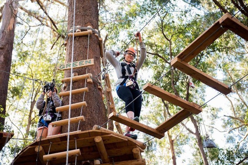 Two people on a wooden rope bridge in a forest. 3