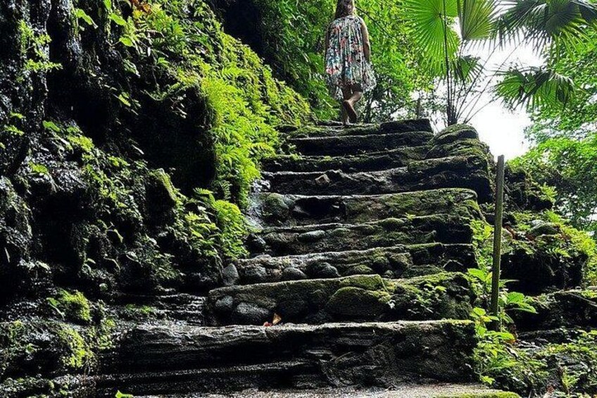 Hidden Valley Springs Nature Getaway with Buffet Lunch & Transfer 2