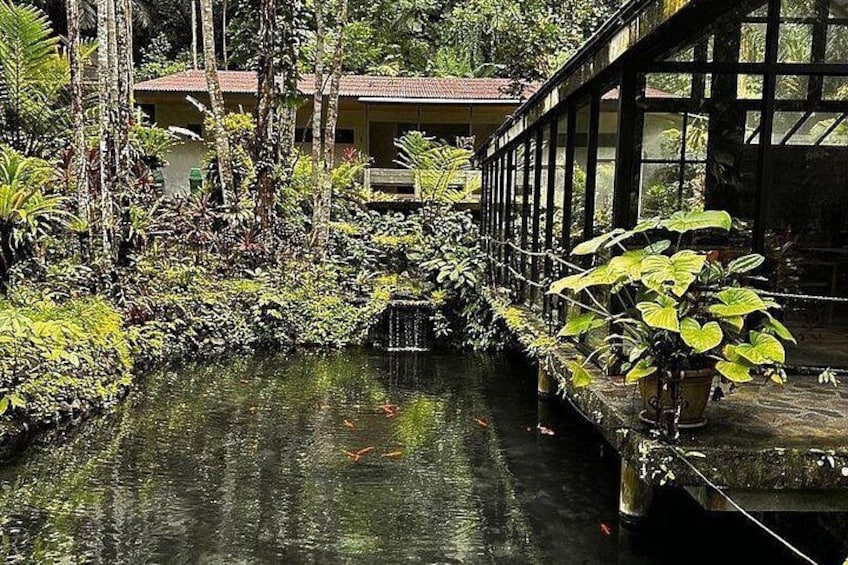 Hidden Valley Springs Nature Getaway with Buffet Lunch & Transfer 4