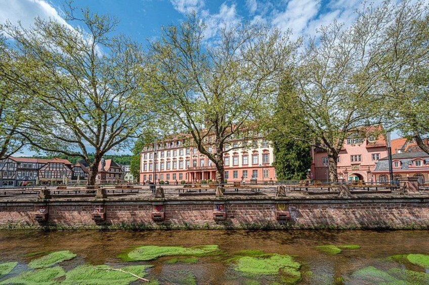 Explore Lille in 60 minutes with a Local 2