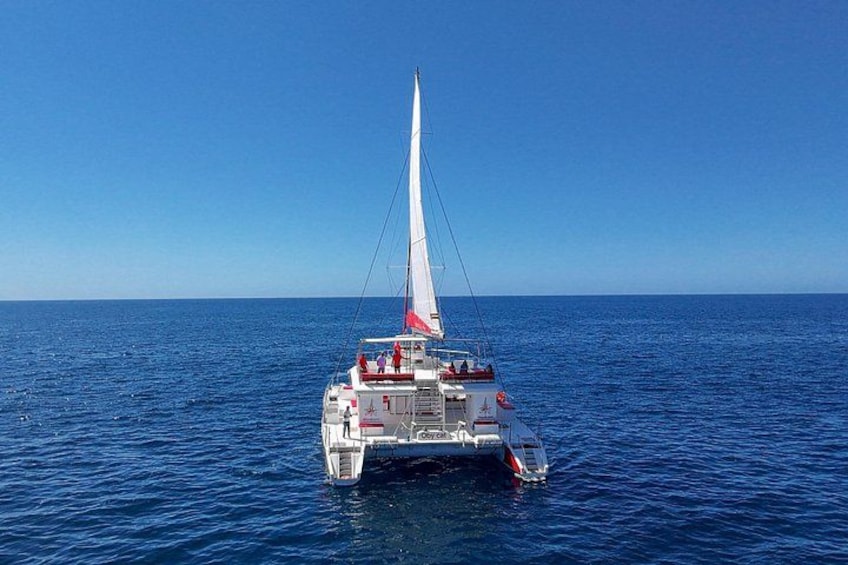 4-Hour Trip on Luxurious Catamaran in Puerto Rico - Gran Canaria 3