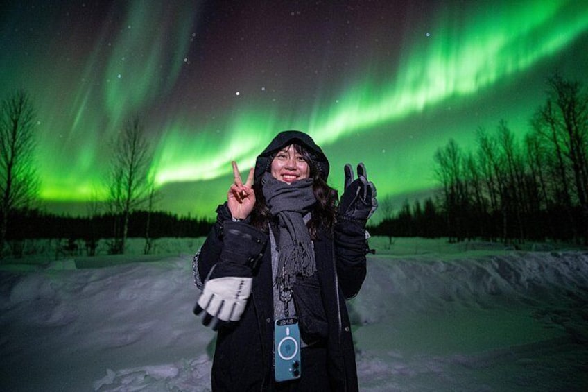A person in a snowy landscape with the aurora borealis in the background. 1