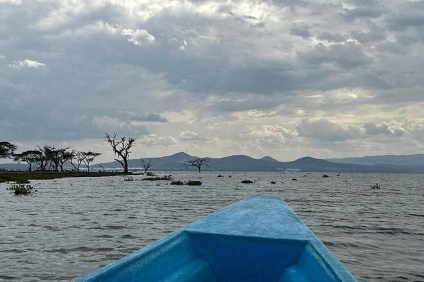 A body of water with trees and distant mountains under a cloudy sky. 2