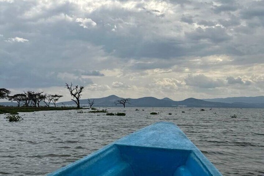 Un cuerpo de agua con un bote azul en primer plano y árboles al fondo. 1