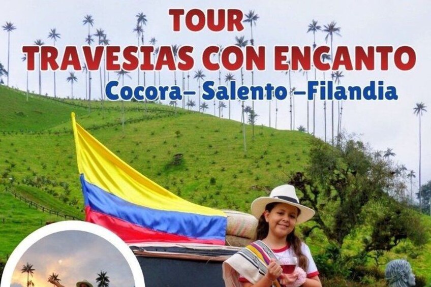 Une publicité pour une excursion mettant en scène un drapeau, une colline et des palmiers. 1
