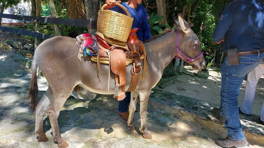 Horseback Riding at Rancho Bonanza Riviera Maya