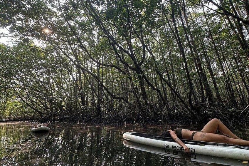 A person lying on a surfboard in a mangrove forest. 4