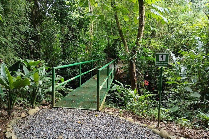One of the bridges of ANURA 3