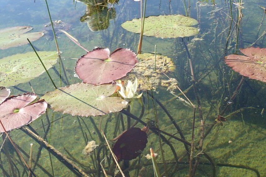 Mayaking. A Journey Through the Heart of the Sian Kaan Biosphere 4