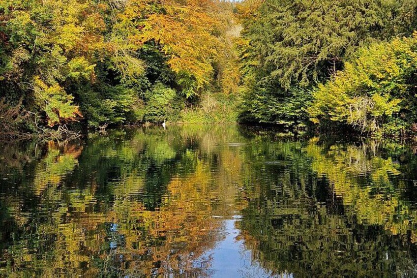 A calm river reflecting trees with autumn foliage. 2
