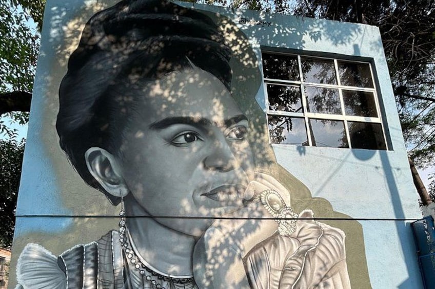 PRIVATE TOUR : Xochimilco, Coyoacan with Frida Kahlo Museum option 5