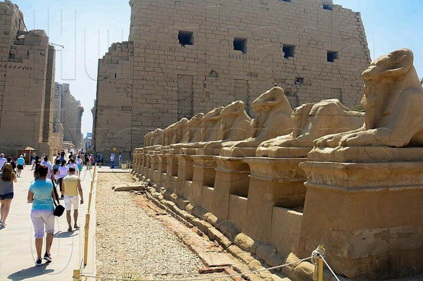 Hurghada Private Luxor Tour | Valley of the Kings & Karnak Temple 4