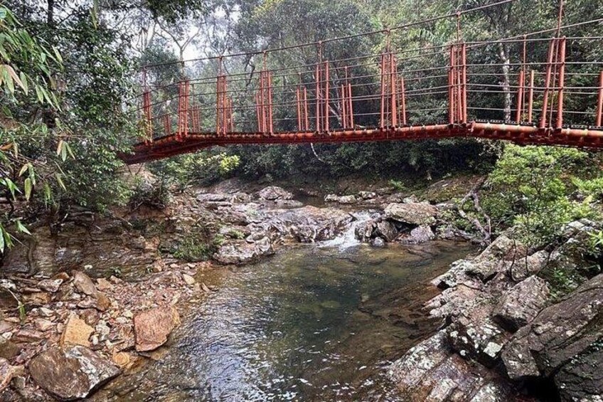Un puente colgante rojo sobre un arroyo rocoso en un área boscosa. 4