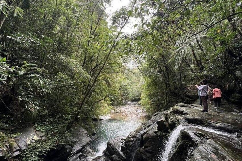 Zona boscosa con un arroyo, rocas y dos personas observando. 5