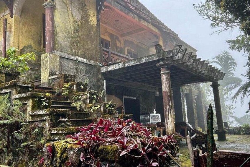 Un edificio desgastado con un porche cubierto, escalones cubiertos de musgo y un montón de hojas rojas. 3