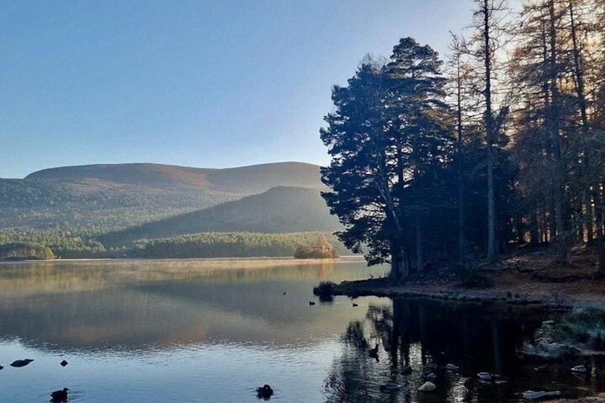 Un lago tranquilo rodeado de árboles y colinas. 1