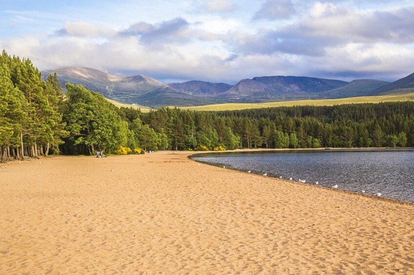 Una playa arenosa con un lago, árboles y montañas al fondo. 4