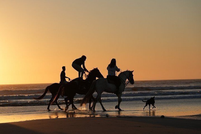 Silhouettes of people riding horses on a beach at sunset. 2