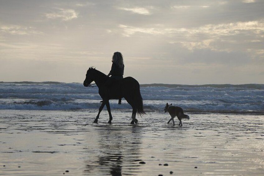 A person riding a horse on a beach with waves in the background. 5