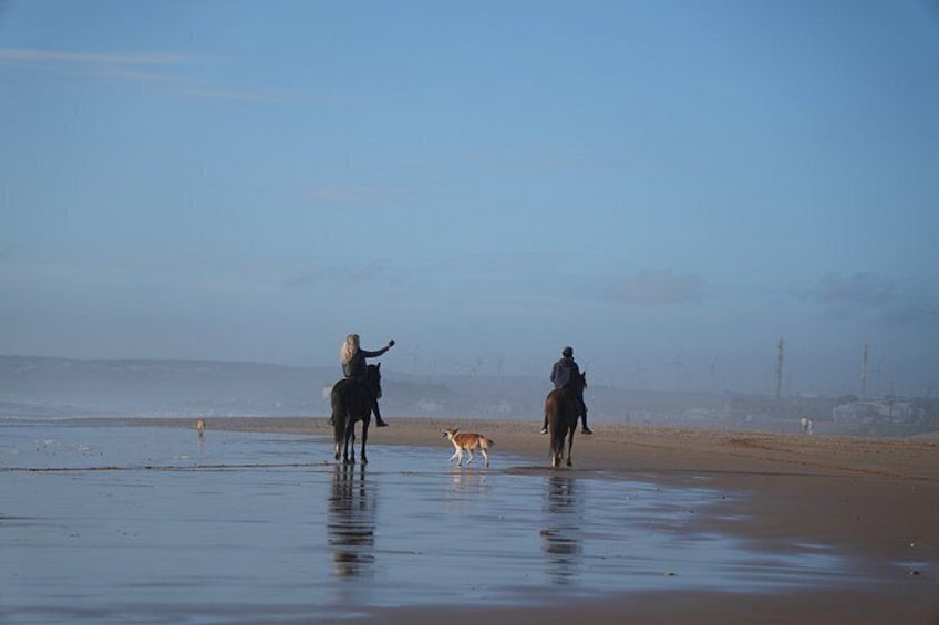 Two people riding horses on a wet beach with a dog nearby. 3