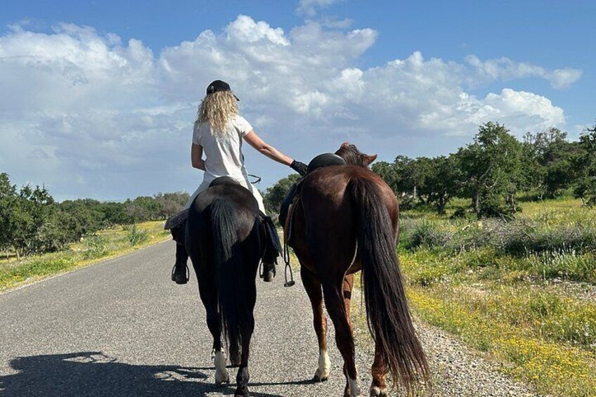 A person riding a horse on a paved road with trees and grass on the sides. 4