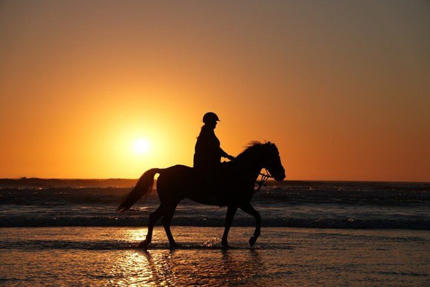 Horseback Riding in Essaouira - Essaouira HorseRiding 2