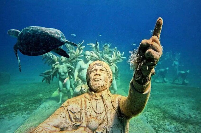 Cristal Half Day Friendly Island Snorkeling Tour 4