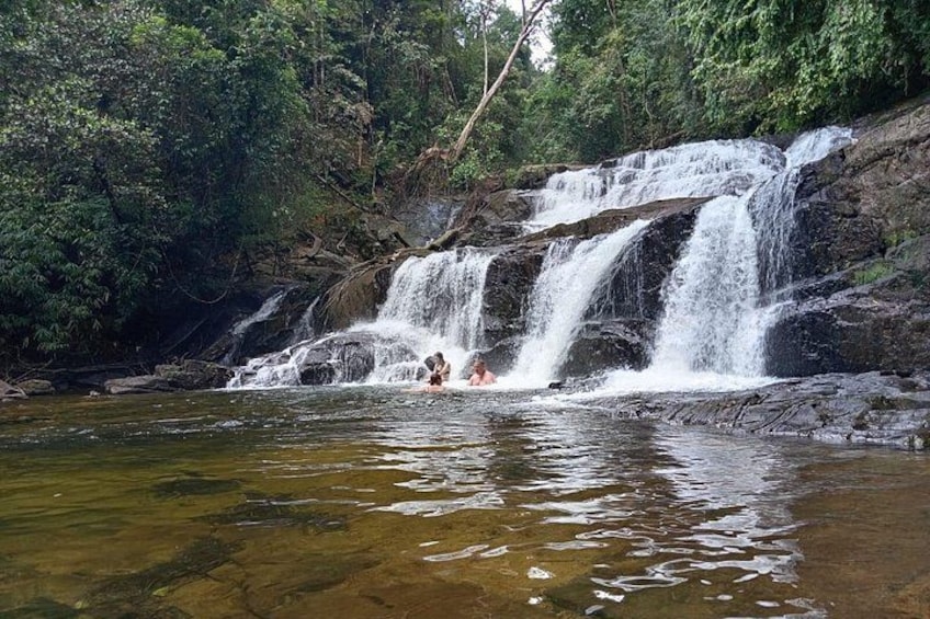 A waterfall cascading over rocks into a clear pool surrounded by dense forest. 4