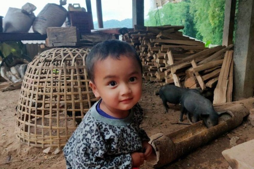 A child in a patterned shirt, a pig, and wooden structures in a rural setting. 5