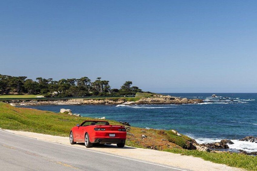 Self Guided Driving Audio Tour of 17 Mile Drive Monterey 5