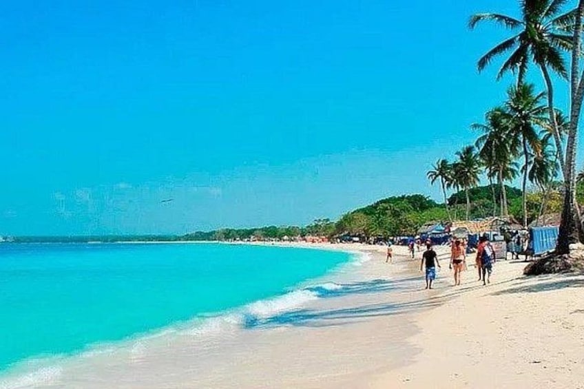 Baru White Beach Tour with Snorkeling Raccoons and Mangroves 2