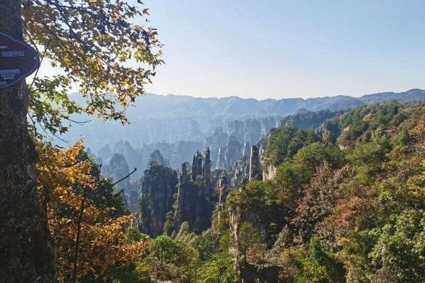 A mountainous landscape with dense forest and towering rock formations. 2