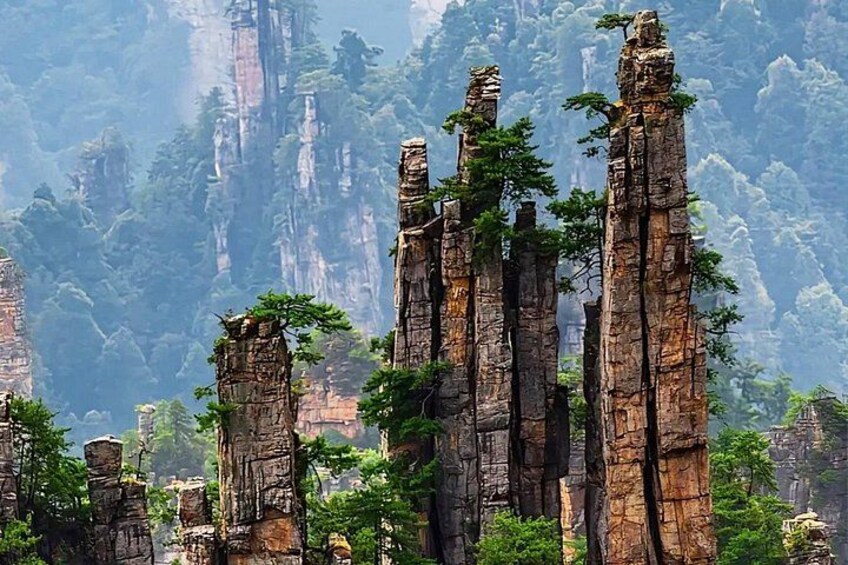 Tall, narrow rock formations with trees growing on top, surrounded by dense forest and misty mountains. 5