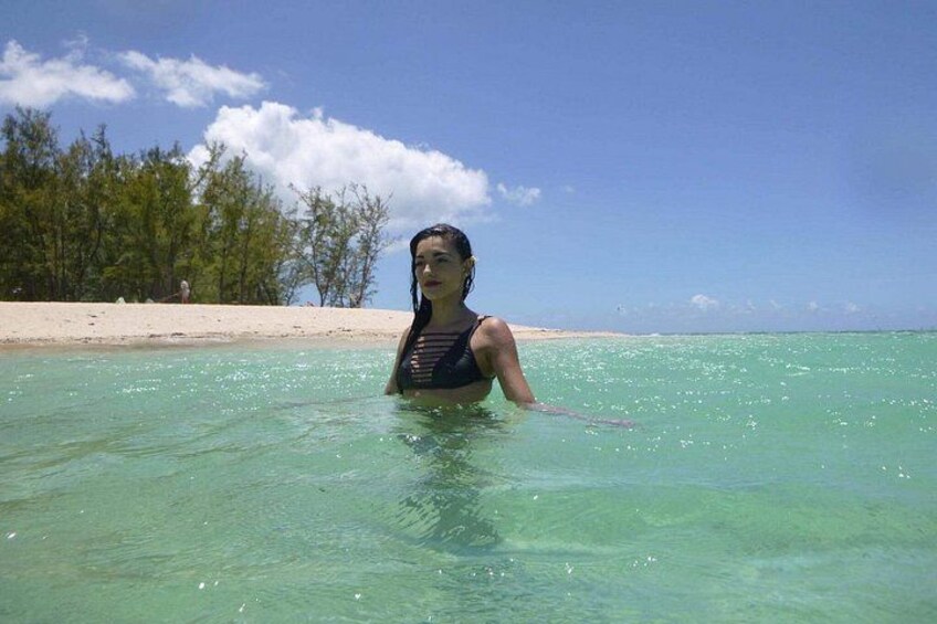 Mauritius Exclusive Tour at La Vanille and Valles Des Couleur 2