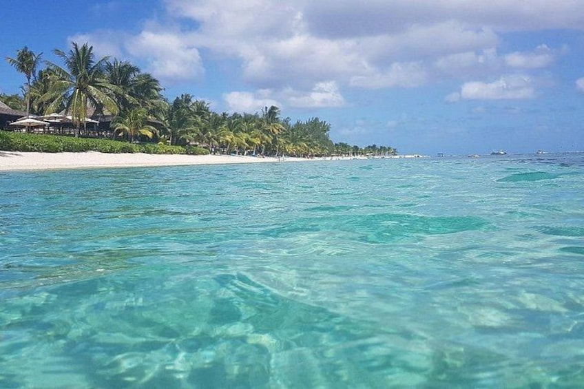 Mauritius Exclusive Tour at La Vanille and Valles Des Couleur 3