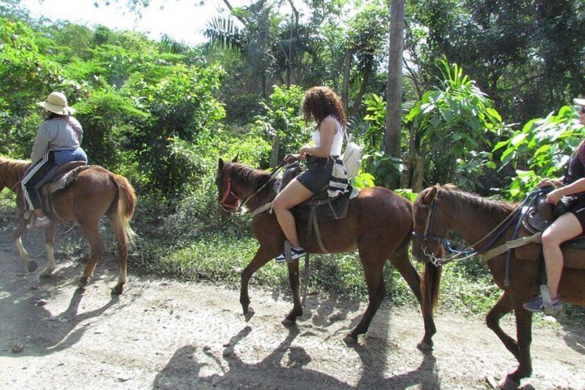 Beach Horseback Ride Tour in Puerto Plata - Scenic & Fun for All 3