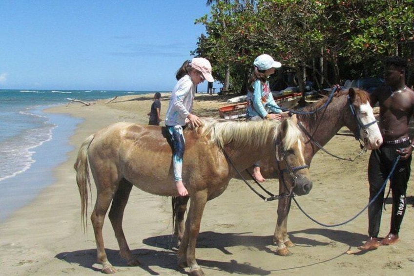 Beach Horseback Ride Tour in Puerto Plata - Scenic & Fun for All 4
