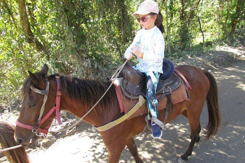 Horseback tour 3