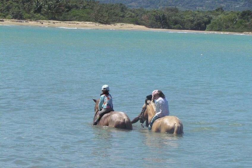 Beach Horseback Ride Tour in Puerto Plata - Scenic & Fun for All 2